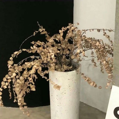 阿尔山福瑞交流群